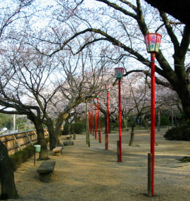 小丸山公園.jpg