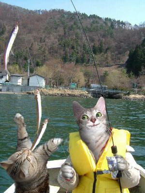 猫の釣り.jpg