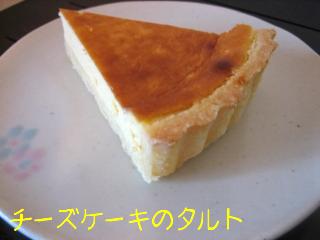 チーズケーキタルト完成.jpg