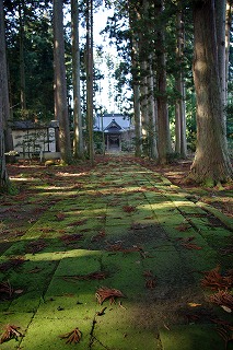 遠賀神社_参道2