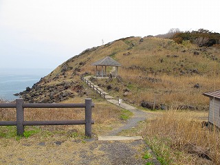 20100420_08_三崎公園_遊歩道_3