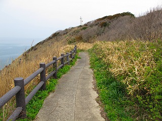 20100420_09_三崎公園_遊歩道_4