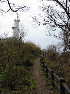 20100420_10_三崎公園_遊歩道_5