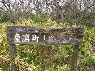 20100420_11_三崎公園_遊歩道_6