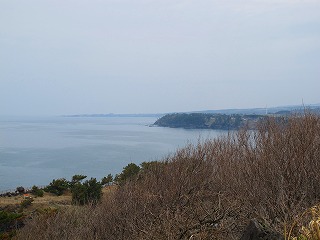 20100420_12_三崎公園_遊歩道_7