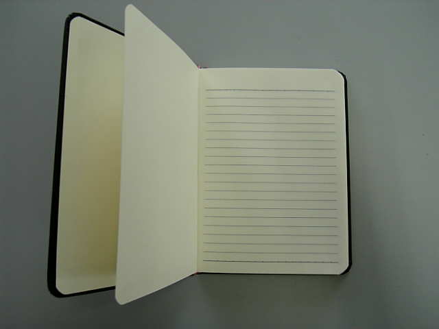 偽モレスキン中身