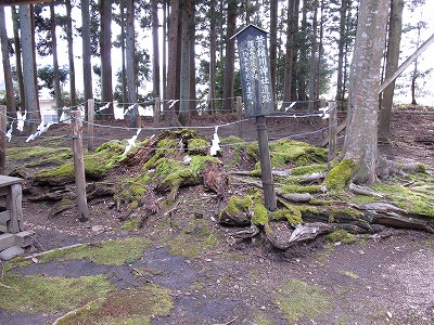 20100406_48_荒雄川神社_遺跡