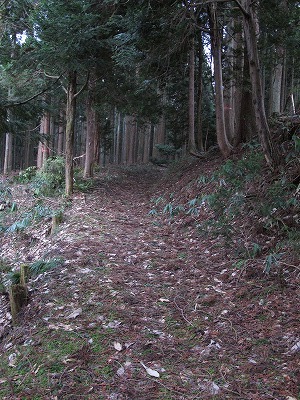 20100406_54_瀧澤神社_参道2