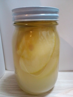 りんご酵母２０１１０４１８（月）