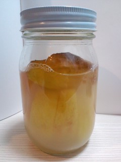 りんご酵母２０１１０４１９（火）