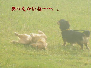 0061.JPG