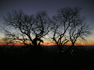 on the way to Castelo of Monsanto, Portugal