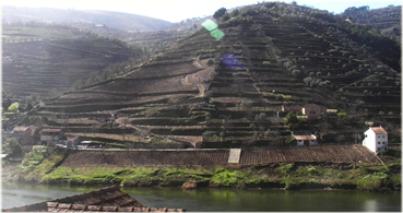 southern side of Rio Douro near Regua, Portugal