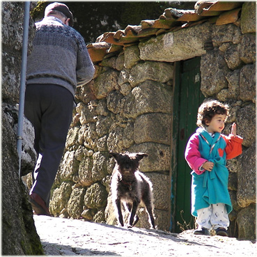 on the way to Castelo of Monsanto, Portugal