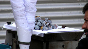 roast-chestnut stall in Praca da Figueira, Portugal