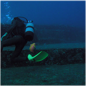 at Main Terrace of Undersea Remains in Yonaguni Is.