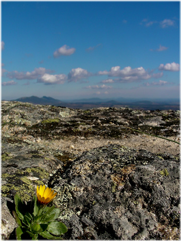 on ramparts of castle in Monsanto, Portugal