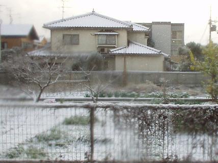 hatsuyuki