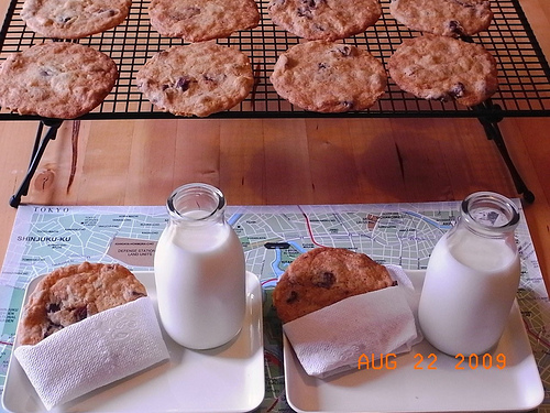 The Thin Chocolate Chip Cookies