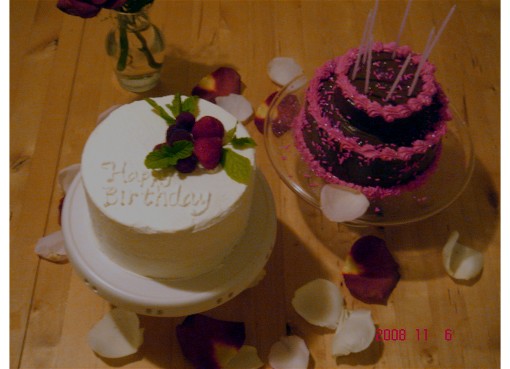 Miyu's Birthday Cake 2008