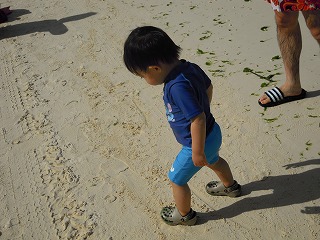 DSCN0138.jpg