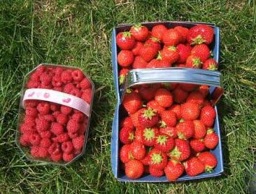 strawberry and raspberry