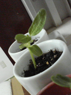 200704111950000.jpg