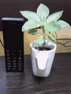 200705222059000.jpg
