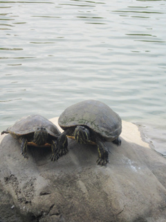 IMG_0920 のコピー.jpg