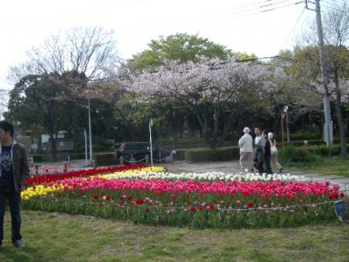 等々力公園