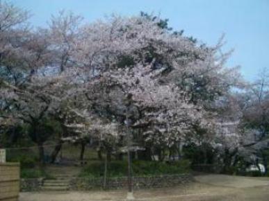 多摩川公園