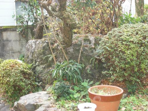 画像 093.jpg