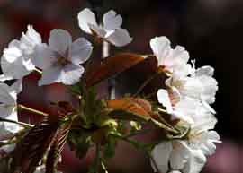 IMG_4085_1.jpg