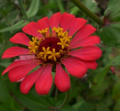 CIMG0819-2.jpg