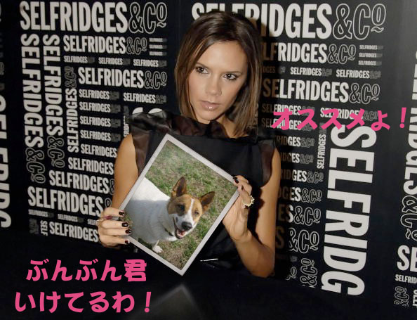photofunia105d1.jpg