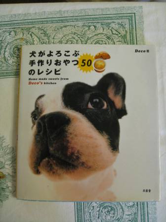 子犬ちゃん 851.jpg