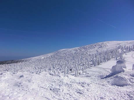 2011.02.23 蔵王2.jpg