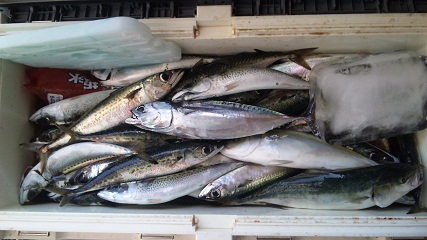 10.10.07 どっかん2.jpg