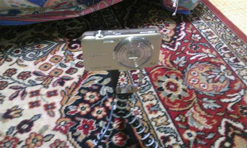 2012-01-18 08.26.56.jpg