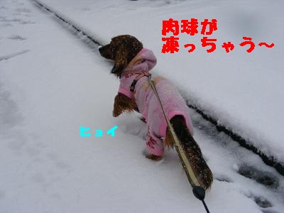 雪とほま５.jpg