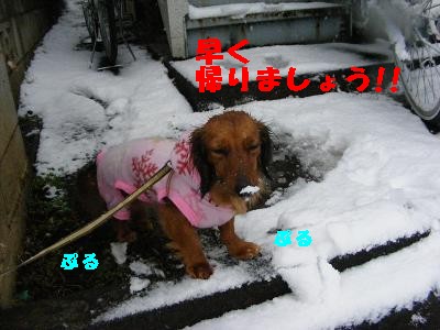 雪とほま６.jpg