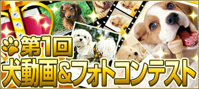 犬動画コンテスト.png