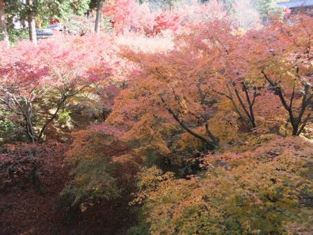 東福寺２－２－２.jpg