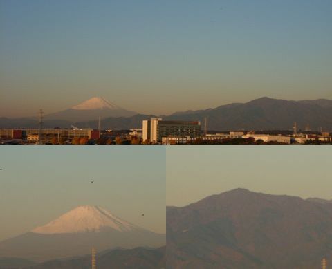 20101130朝風景.jpg