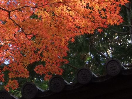 東福寺２－２－３.jpg