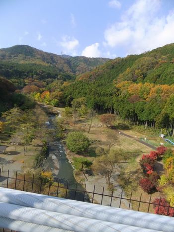 吊り橋からの風景♪.jpg