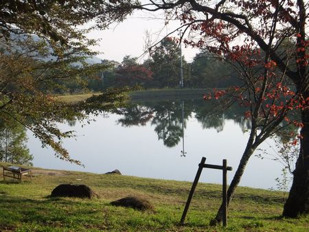 駒ヶ池朝.jpg