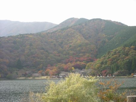 田貫湖で紅葉１.jpg