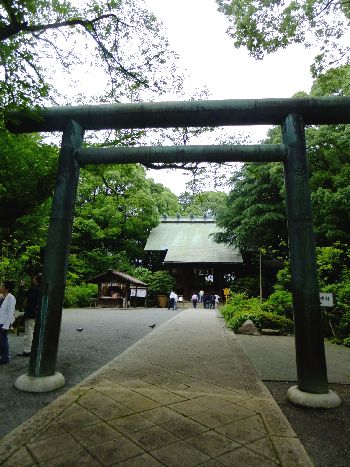 二宮報徳神社鳥居.jpg