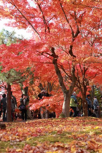 東福寺５－１－１.jpg